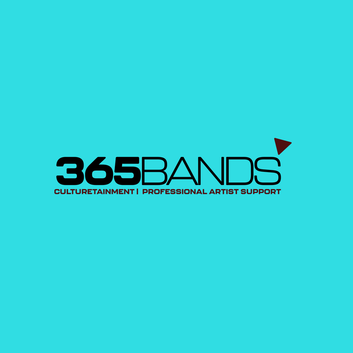 Künstlervermittlung - 365bands.de